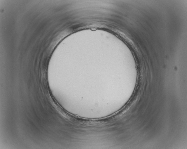 X0000064771281200603131424