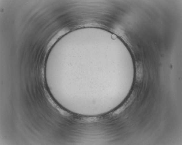 X0000064771282200603131424