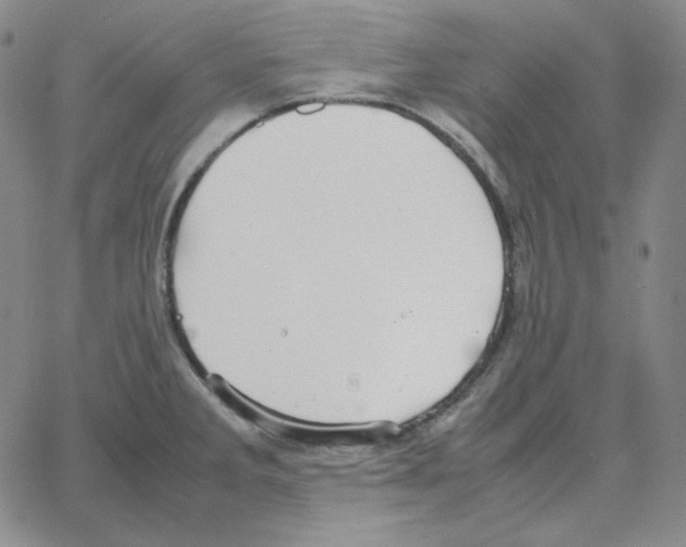 X0000064771285200603131424