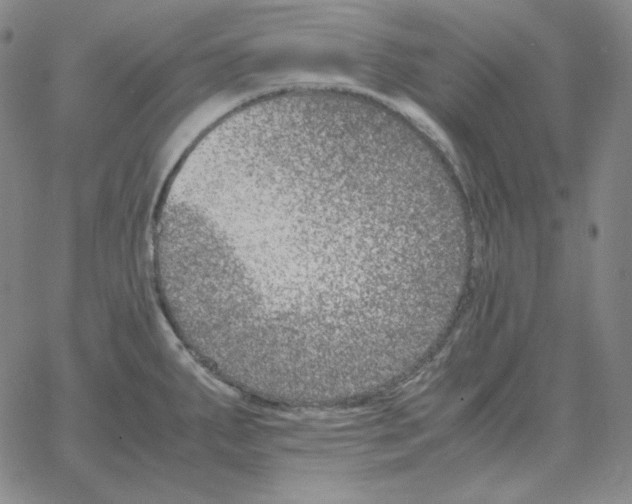 X0000064771287200603131424