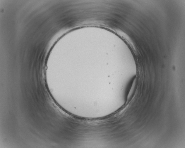 X0000064771288200603131424