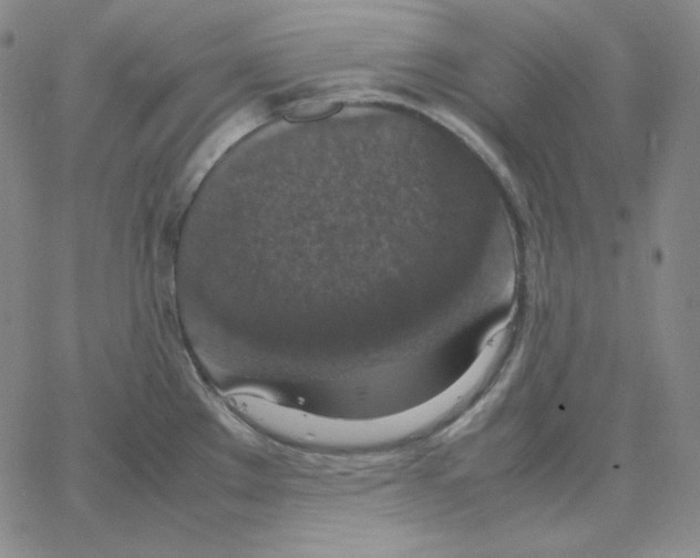 X0000064771289200603131424