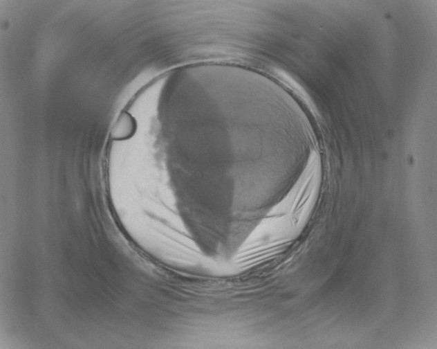 X0000064771291200603131424