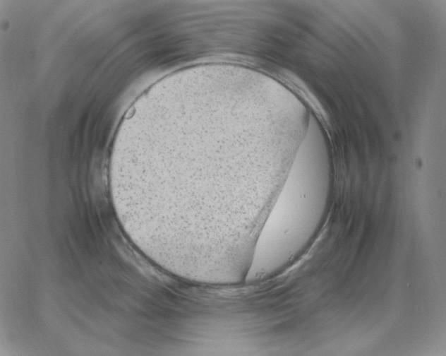 X0000064771292200603131424