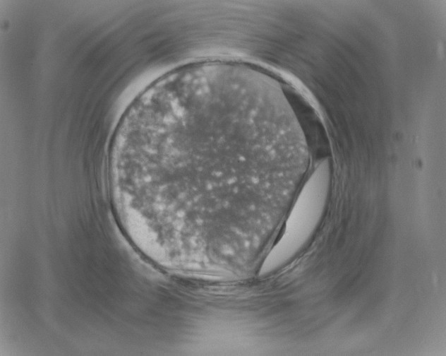 X0000064771295200603131424