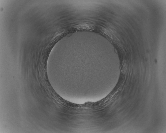 X0000064771297200603131423