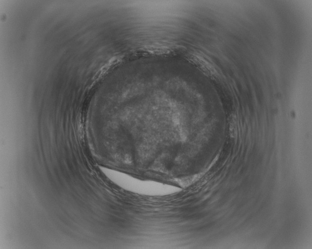 X0000064771298200603131423