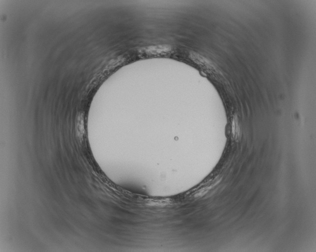 X0000064771299200603131423