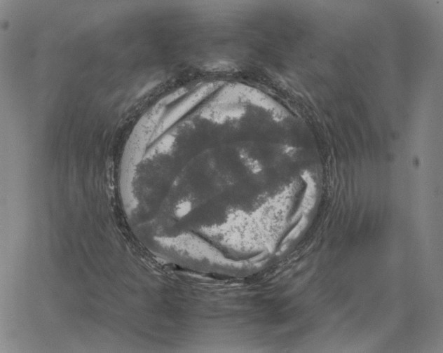 X0000064771301200603131423