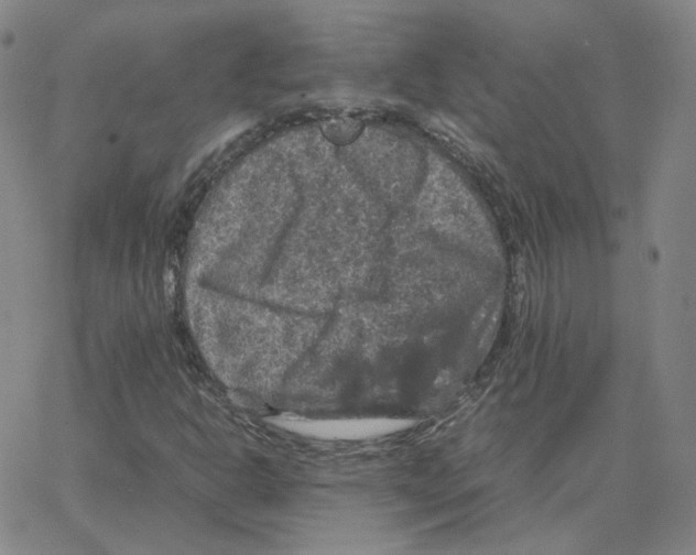 X0000064771302200603131423