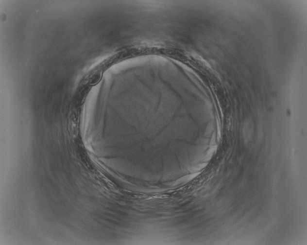 X0000064771303200603131423