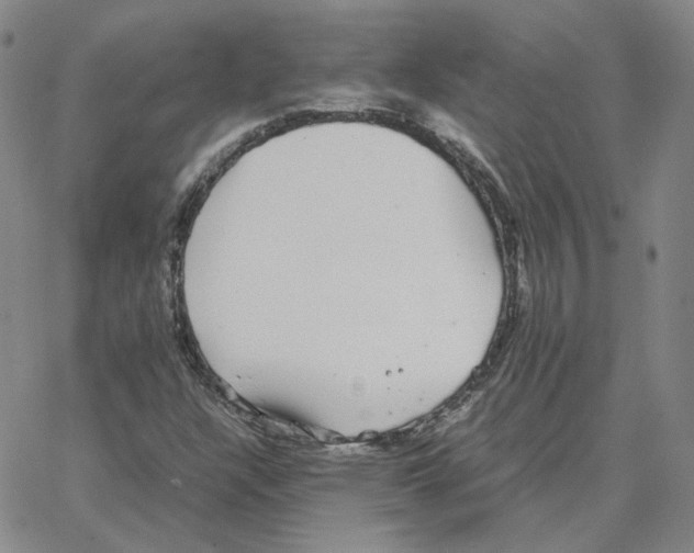 X0000064771304200603131424