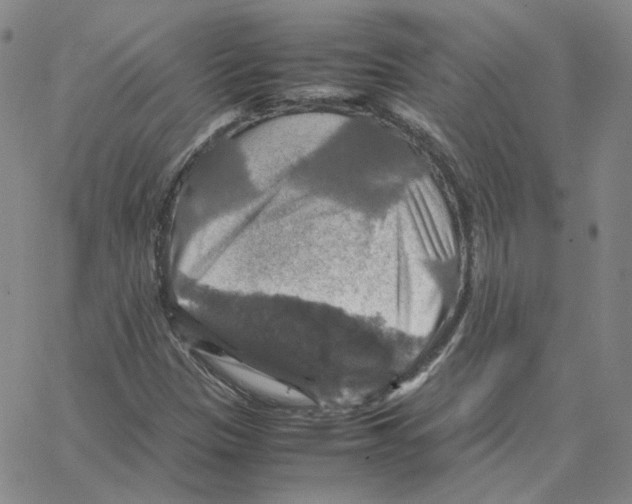 X0000064771305200603131424