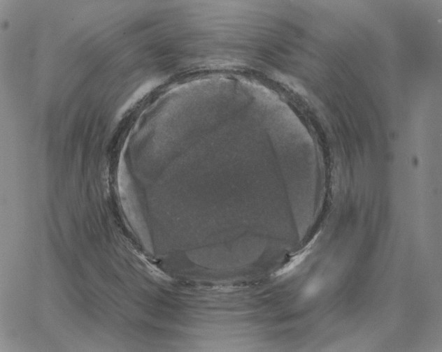 X0000064771306200603131424