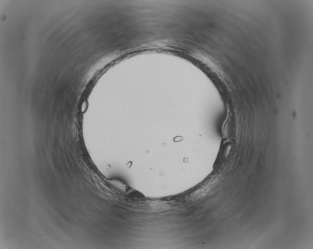 X0000064771308200603131424