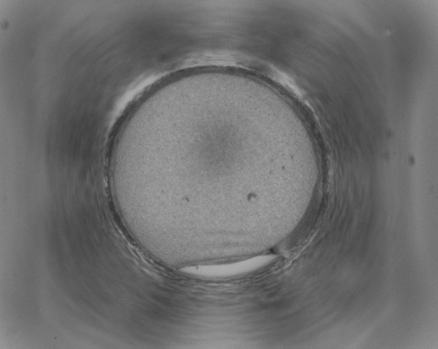 X0000064771312200603131424