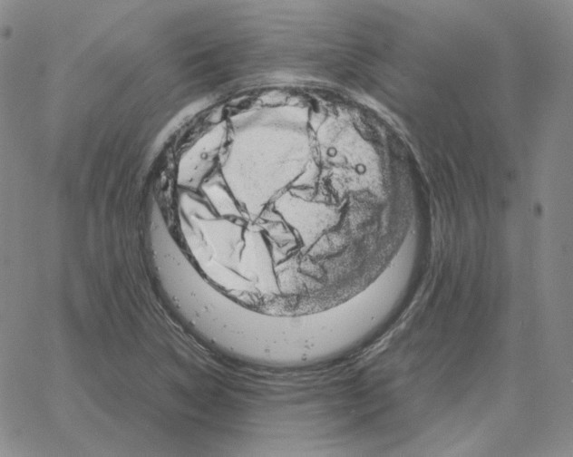 X0000064771314200603131424