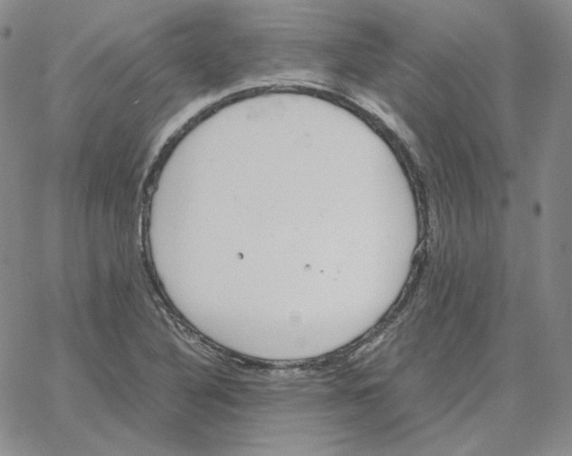 X0000064771316200603131424