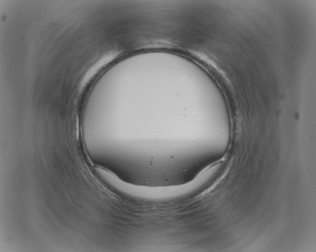 X0000064771317200603131424