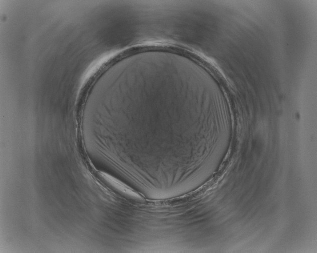 X0000064771319200603131424