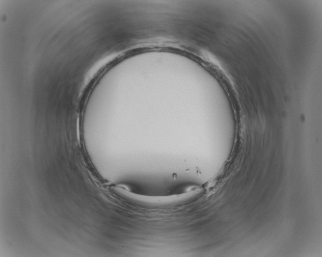 X0000064771320200603131424