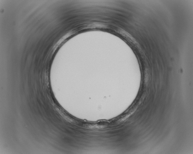 X0000064771321200603131424