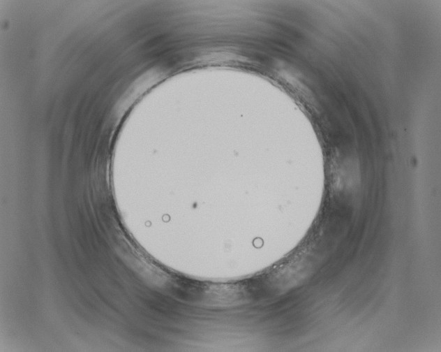 X0000064771322200603131424