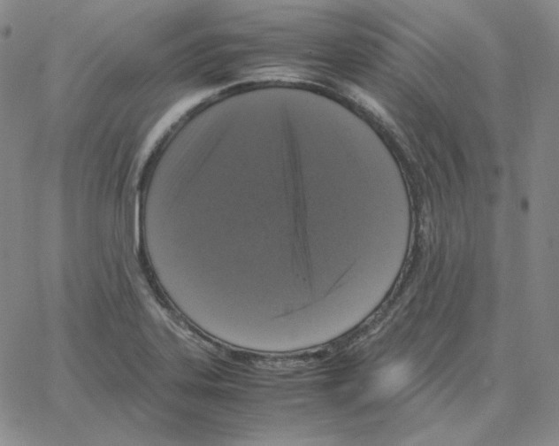 X0000064771323200603131424