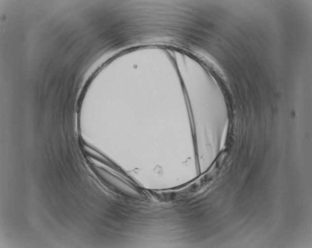 X0000064771324200603131424