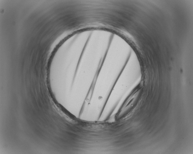 X0000064771326200603131424