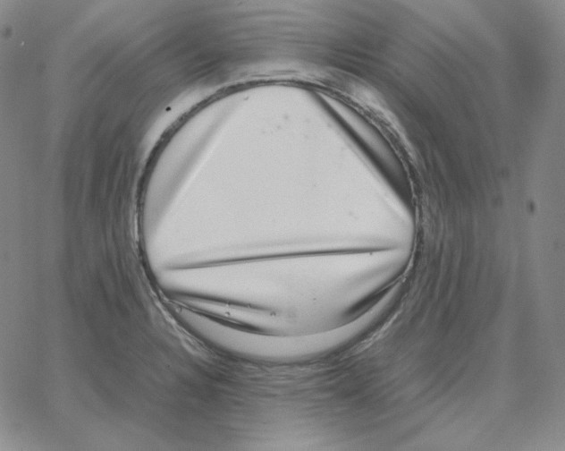 X0000064771328200603131424