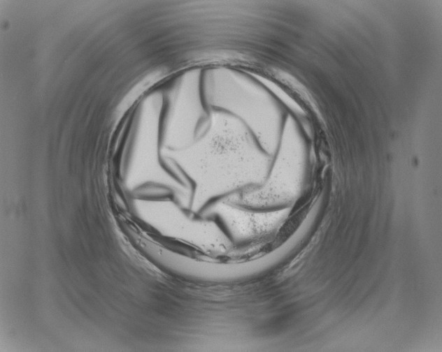 X0000064771330200603131424