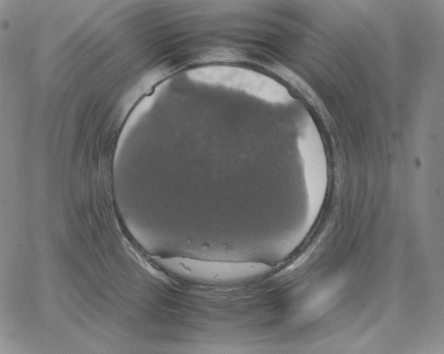 X0000064771337200603131424