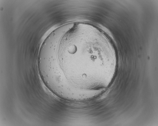 X0000064771338200603131424