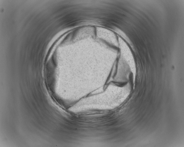 X0000064771339200603131424