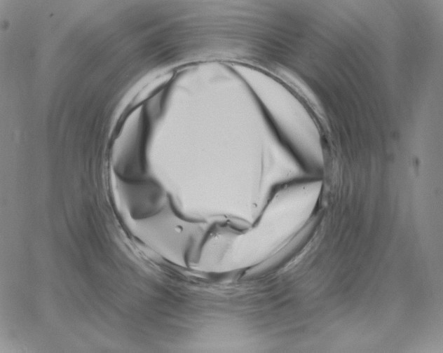 X0000064771340200603131424