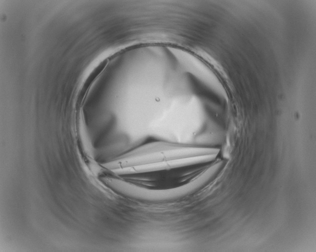 X0000064771342200603131424