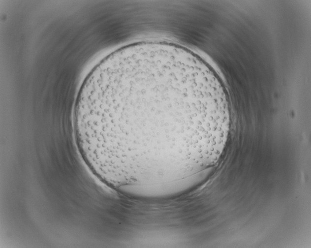 X0000064771343200603131424