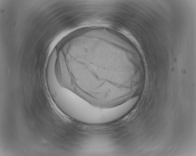 X0000064771344200603131424