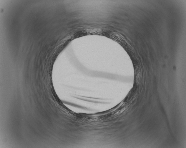 X0000064771345200603131423