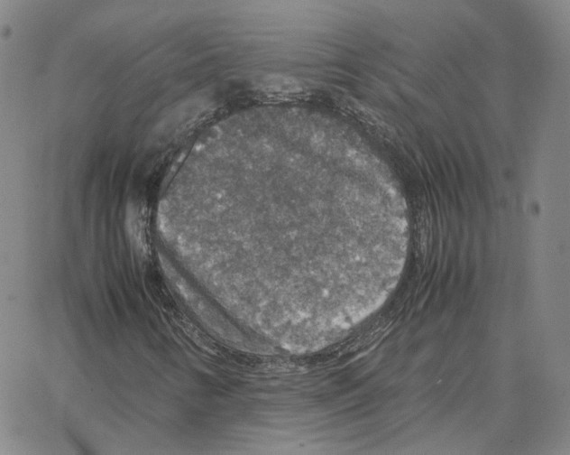 X0000064771346200603131423