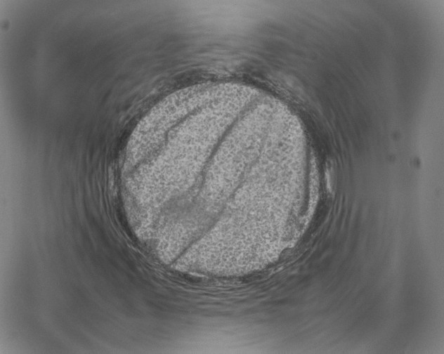 X0000064771347200603131423