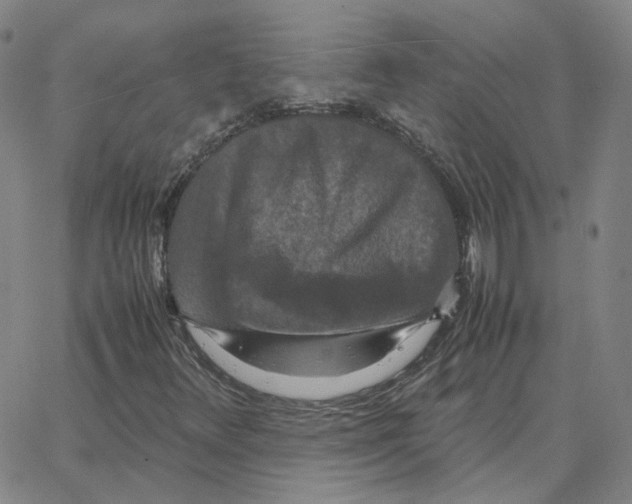 X0000064771348200603131423