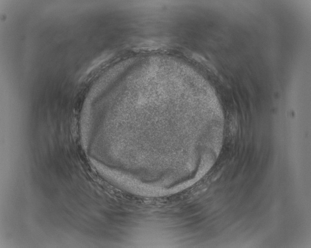 X0000064771350200603131423