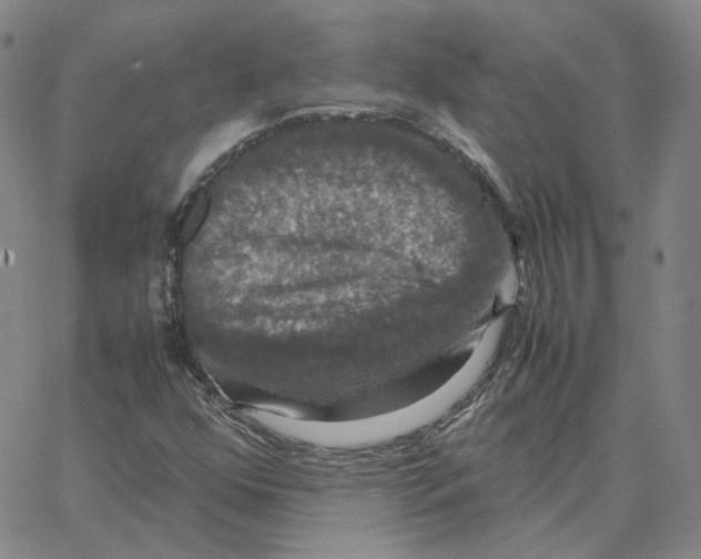 X0000064771352200603131423