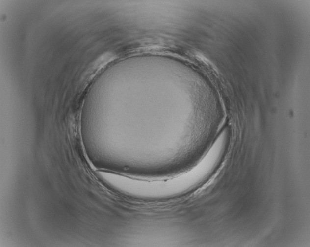 X0000064771353200603131423