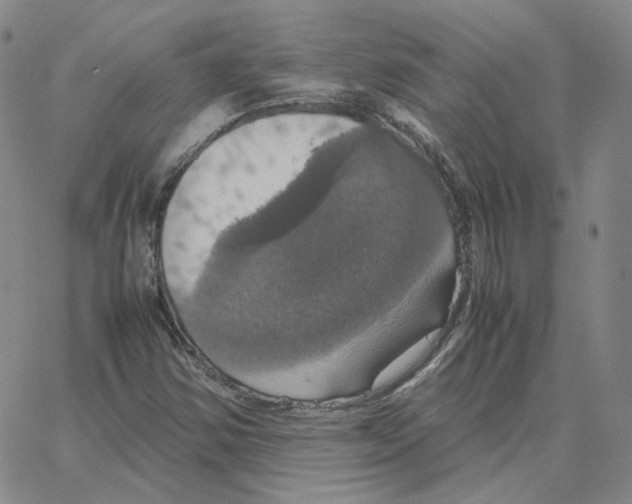 X0000064771354200603131423