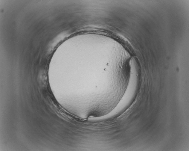 X0000064771355200603131423