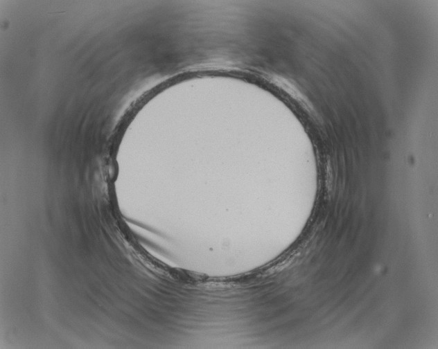 X0000064771356200603131423