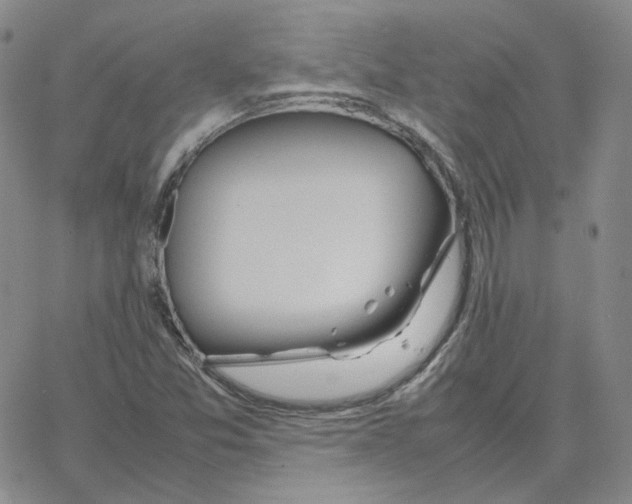 X0000064771357200603131423